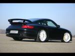 Porsche 911 BTR-XS 650 by SpeedART 2008 года